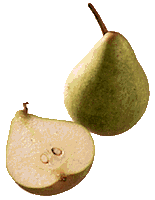 paarynanpuolikkaaaat